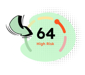 Risk Score Summary